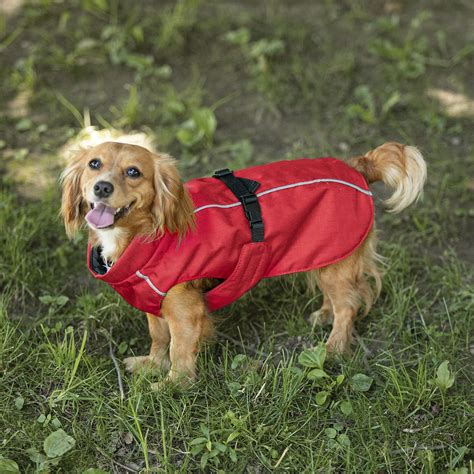 Waterproof dog coat PM 